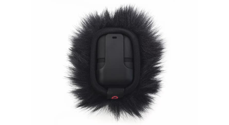 Windshield Black